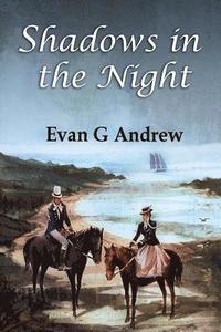 bokomslag Shadows in the Night: Large Print edition