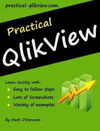 bokomslag Practical Qlikview