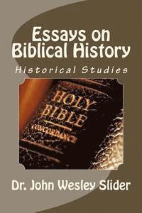 bokomslag Essays on Biblical History