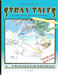 bokomslag Stray Tales: Transcending