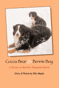 Ellie Meglio - Cocoa Bear & Bennie Boy: A Picture is Worth a Thousand Woofs, Häftad