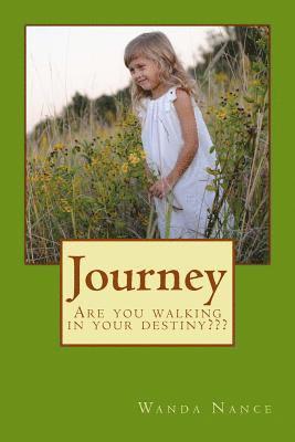 bokomslag Journey: Are You Walking In Your Destiny