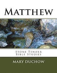 bokomslag Matthew: Stone Tender Bible Studies