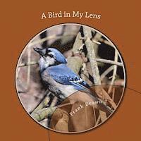 bokomslag A Bird in My Lens