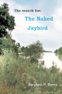 bokomslag The Naked Jaybird: An Intrigue That Would Destroy America