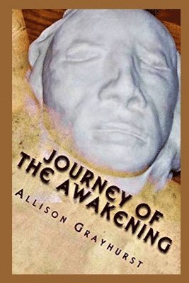 Allison Grayhurst - Journey of the Awakening, Häftad