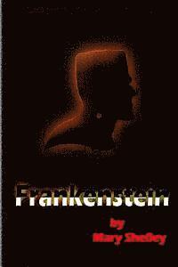 Mary Wollstonecraft (Godwin) Shelley - Frankenstein, Häftad