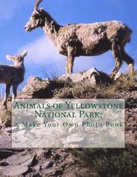 bokomslag Animals of Yellowstone National Park: A Make Your Own Photo Book