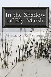 In the Shadow of Ely Marsh 1