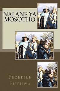 bokomslag Nalane YA Mosotho: Letlotlo Le Tlotlontswe