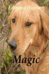 bokomslag Magic: The story of a lost dog and a wounded Marine.