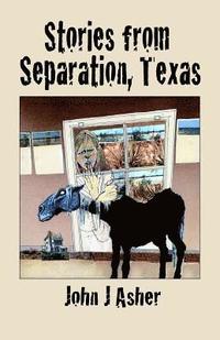 bokomslag Stories from Separation, Texas
