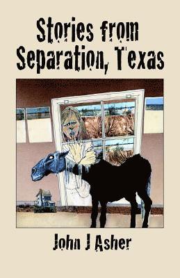 John J. Asher - Stories from Separation, Texas, Häftad