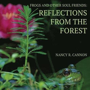 bokomslag Frogs and Other Soul Friends: Reflections from the Forest