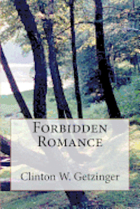 bokomslag Forbidden Romance