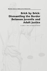 Ojmarrh Mitchell, Jeffrey A. Butts - Brick by Brick: Dismantling the Border Between Juvenile and Adult Justice, Häftad