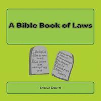 bokomslag A Bible Book of Laws: What IFS Bible picture books