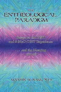 bokomslag The Entheological Paradigm: Essays on the DMT and 5-MeO-DMT Experience, and the Meaning of it All