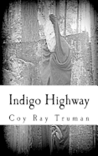 bokomslag Indigo Highway