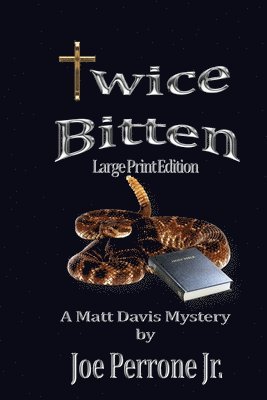 Twice Bitten: A Matt Davis Mystery 1