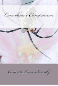bokomslag Consolata's Companion