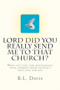 bokomslag Lord Did You Really Send Me To That Church?!
