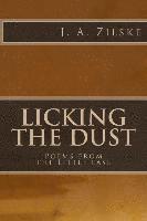 bokomslag Licking the Dust