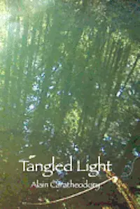 Alain M. Caratheodory - Tangled Light: At Play in the Forest of Night, Häftad. Tillgänglighet: Lägg i varukorg