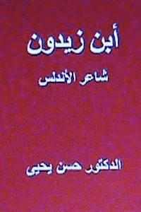 bokomslag Ibn Zaydun the Poet of Andalus