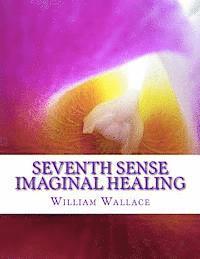 bokomslag Seventh Sense Imaginal Healing: An homage to Dr. Richard Bartlett, Benjamin Bibb, Barbara Ann Brennan, Donna Eden, Dr. Meg Blackburn Losey, Dr. Gerald