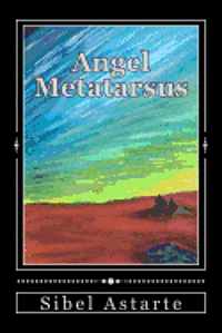 Angel Metatarsus 1