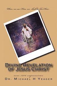 bokomslag Divine Revelation Of Jesus Christ