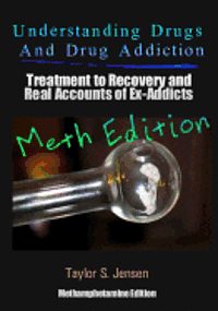 bokomslag Understanding Drugs and Drug Addiction: Treatment to Recovery and Real Accounts of Ex-Addicts Volume II / Methamphetamine Edition