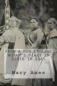 bokomslag From a New England Woman's Diary in Dixie in 1865: (Large Print)