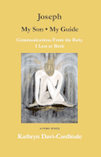 Kathryn Davi-Cardinale - Joseph--My Son, My Guide: Communications From the Baby I Lost at Birth, Häftad