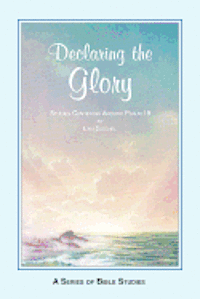 bokomslag Declaring the Glory: Studies Centering Around Psalm 19