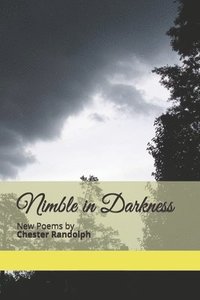 bokomslag Nimble in Darkness