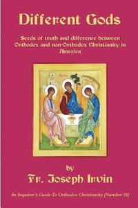 bokomslag Different Gods: An Inquirer's Guide to Orthodox Christianity