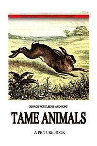 bokomslag Tame Animals