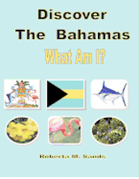 bokomslag Discover The Bahamas