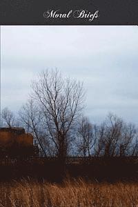 John H. Stapleton - Moral Briefs: A Concise, Reasoned, And Popular Exposition Of Catholic Morals, Häftad