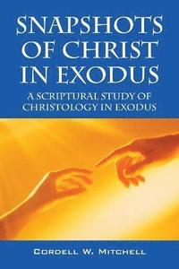 bokomslag Snapshots of Christ in Exodus