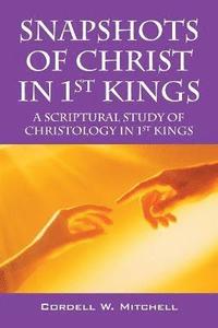 bokomslag Snapshots of Christ in 1st Kings