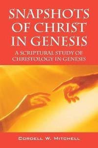 bokomslag Snapshots of Christ in Genesis