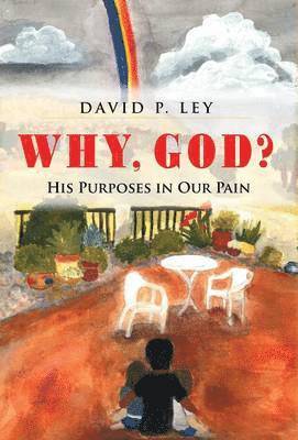 Why, God? His Purposes in Our Pain 1