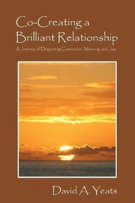 bokomslag Co-Creating a Brilliant Relationship