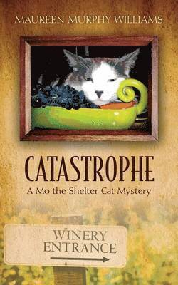 Catastrophe 1