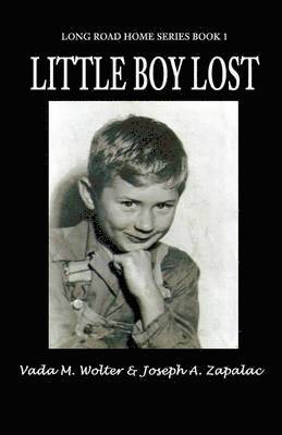 bokomslag Little Boy Lost