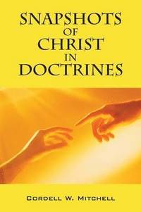 bokomslag Snapshots of Christ in Doctrines