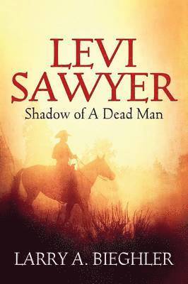 Levi Sawyer 1